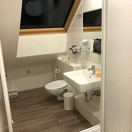 Kiebitznest