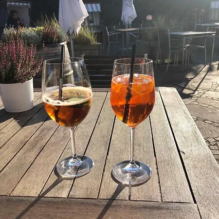 Kiebitznest Suderende (Sylt)