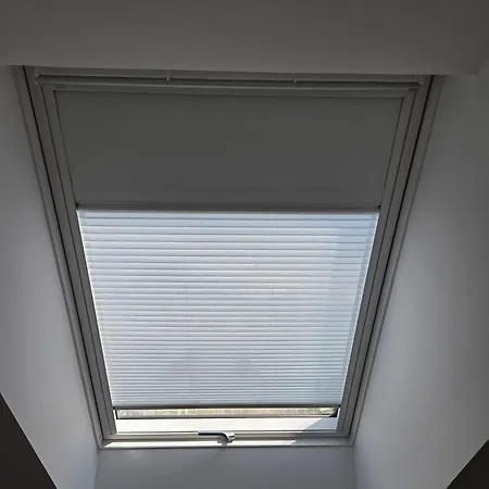 Kiebitznest *