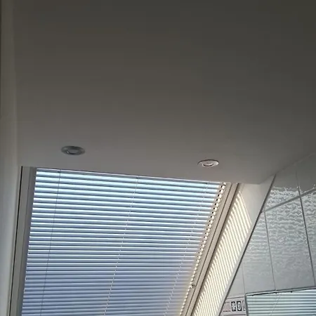 Kiebitznest *